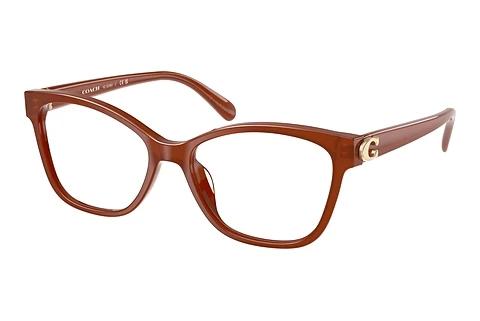 Brille Coach HC6246U 5841