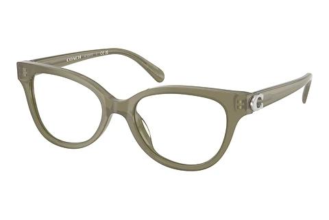 Brille Coach HC6247U 5840