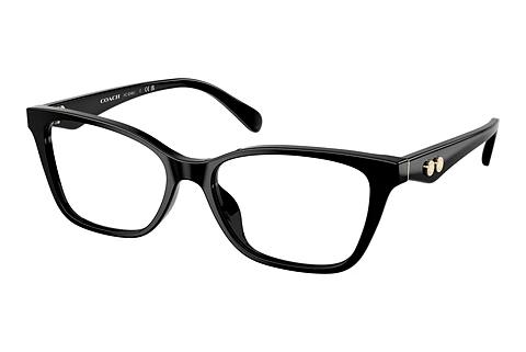 Brille Coach HC6248U 5002