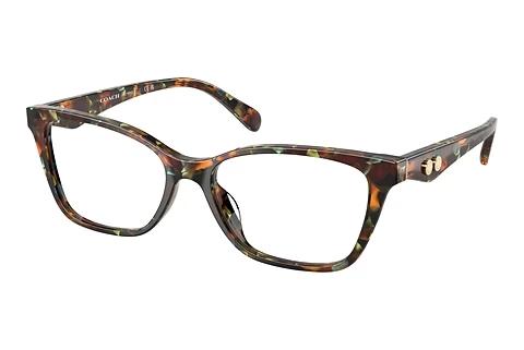 Brille Coach HC6248U 5844