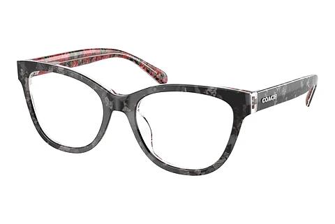 Brille Coach HC6249U 5856