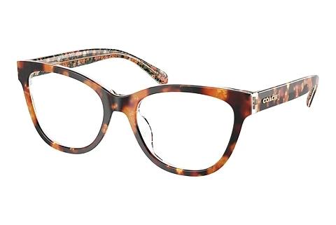 Brille Coach HC6249U 5857