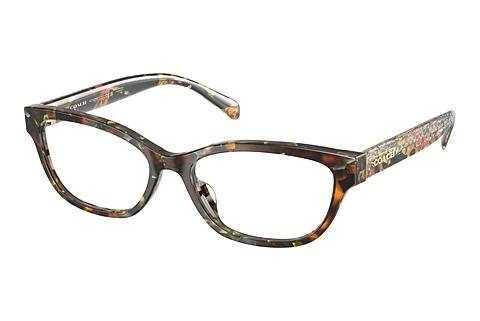 Brille Coach HC6250U 5844