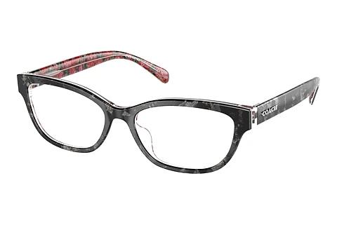 Brille Coach HC6250U 5856