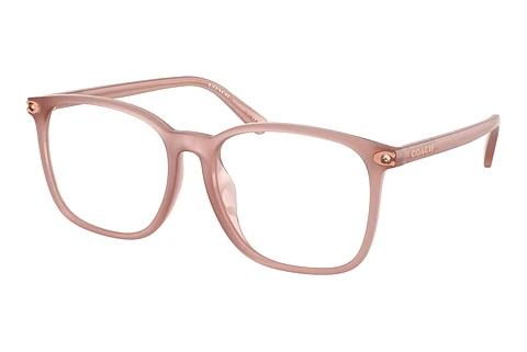 Brille Coach HC6254BD 5839
