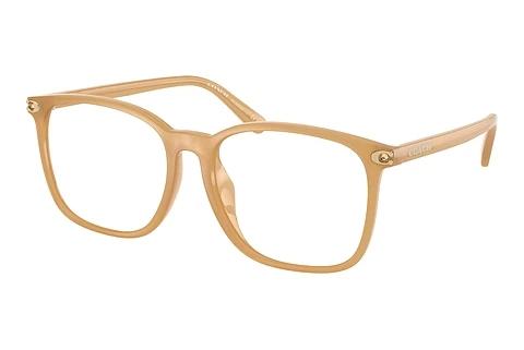 Brille Coach HC6254BD 5854