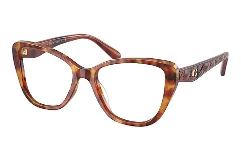 Brille Coach HC6255U 5774