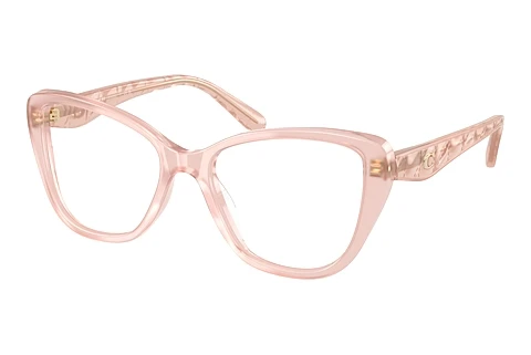 Brille Coach HC6255U 5863