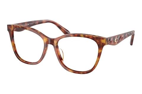 Brille Coach HC6256U 5774