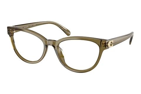 Brille Coach HC6258U 5072