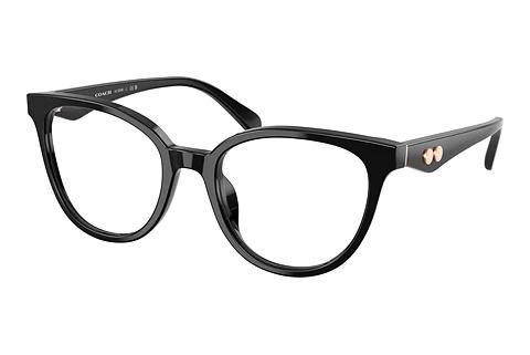 Brille Coach HC6259U 5002