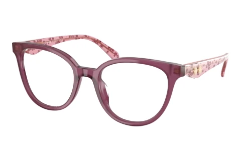 Brille Coach HC6259U 5954SB