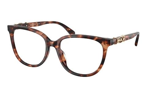 Brille Coach HC6260U 5590