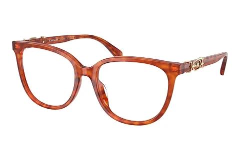 Brille Coach HC6260U 5774