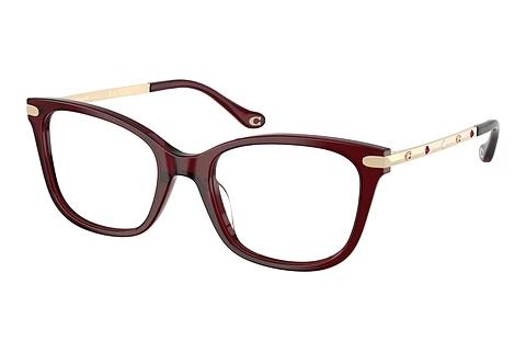 Brille Coach HC6261BU 5393