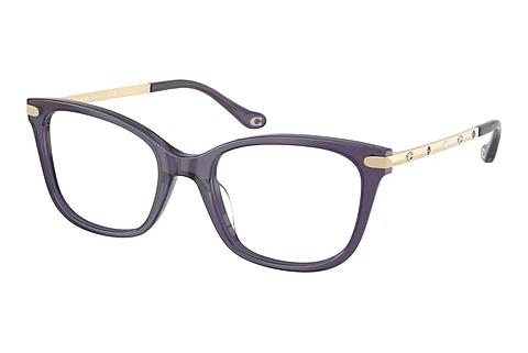 Brille Coach HC6261BU 5522