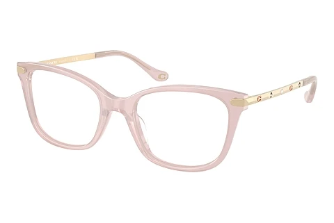 Brille Coach HC6261BU 5869