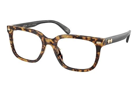 Brille Coach HC6266U 5881