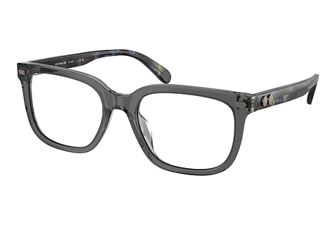 Brille Coach HC6266U 5882