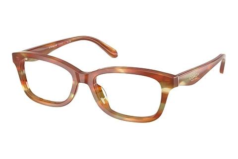 Brille Coach HC6275U 5898
