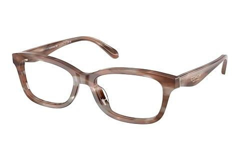 Brille Coach HC6275U 5901