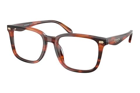 Brille Coach HC6276U 5906