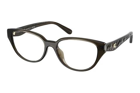 Brille Coach HC6279D 5400