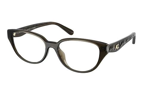 Brille Coach HC6279D 5400SB