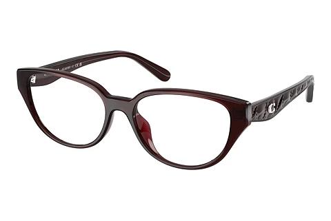 Brille Coach HC6279D 5915