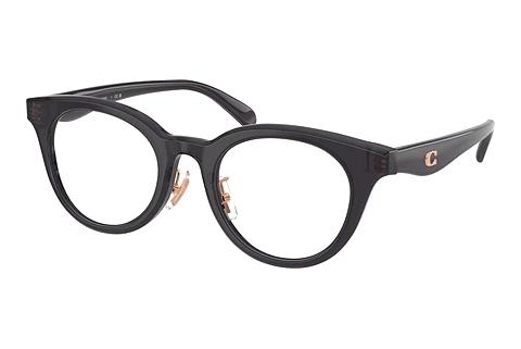 Brille Coach HC6280D 5104