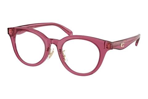 Brille Coach HC6280D 5824