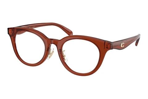 Brille Coach HC6280D 5847