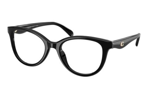 Brille Coach HC6284U 5002