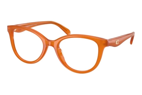 Brille Coach HC6284U 5930