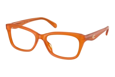 Brille Coach HC6285U 5930