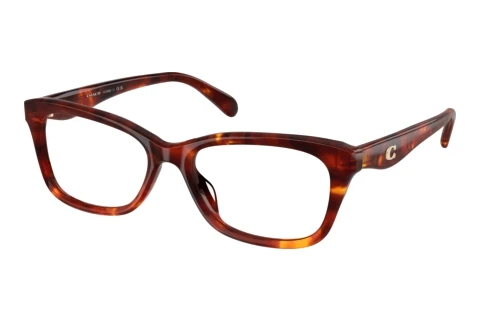 Brille Coach HC6285U 5938