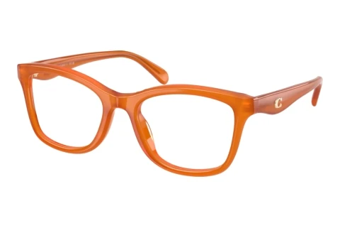 Brille Coach HC6286U 5930