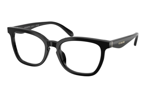 Brille Coach HC6288U 5002