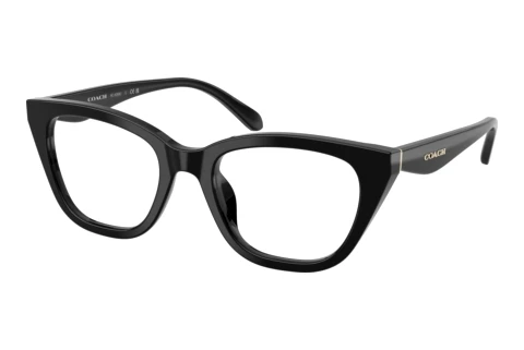 Brille Coach HC6289U 5002