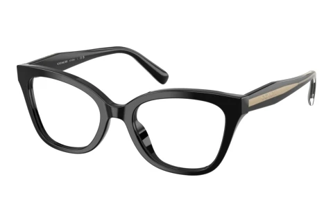 Brille Coach HC6290U 5002
