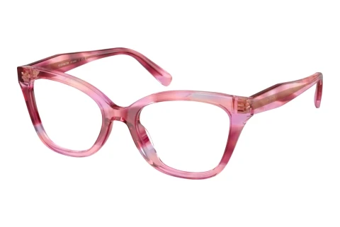 Brille Coach HC6290U 5941