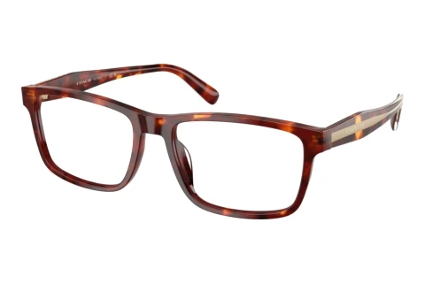 Brille Coach HC6292U 5938
