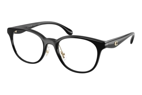 Brille Coach HC6294D 5002