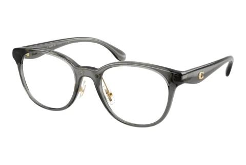 Brille Coach HC6294D 5104