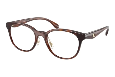 Brille Coach HC6294D 5120