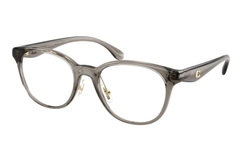 Brille Coach HC6294D 5886SB