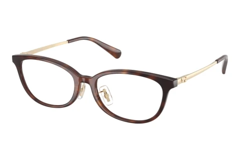 Brille Coach HC6295D 5120