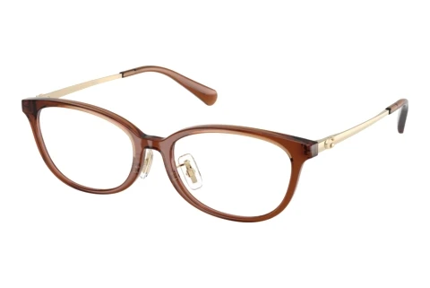 Brille Coach HC6295D 5888