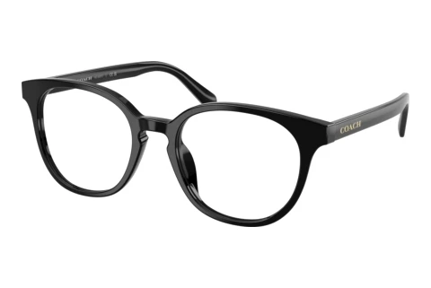 Brille Coach HC6301U 5002