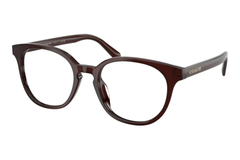 Brille Coach HC6301U 5968